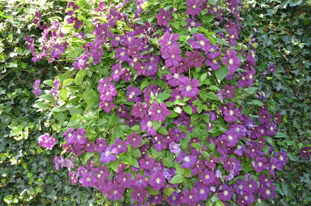 Bloemenhoeve Bed and Breakfast Birdaard Εξωτερικό φωτογραφία